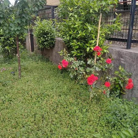 Al Giardino Da Teresina * Genua